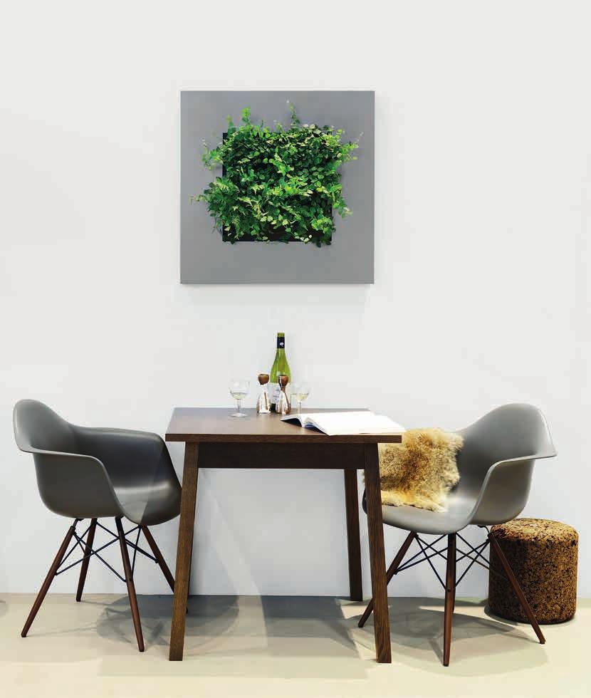 Vitale Objekte LivePicture x 1 LivePicture ist eine dekorative, platzsparende Lösung zur Integration von Pflanzen in jedes Interieur.