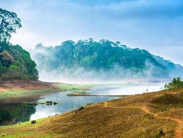 Am Nachmittag können Sie entweder das Tee Museum in Munnar besuchen oder einen Ausflug zum Rajamalai Eravikulam- Nationalpark unternehmen, auf dessen Territorium sich der größte, naturbelassene