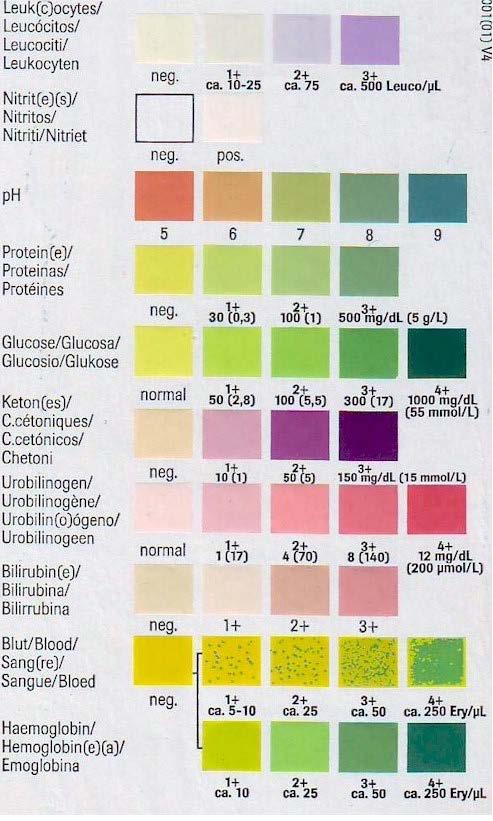 2.2.2.1 Combur-9-Test Combur-9-Test ist ein Neunfach-Teststreifen zur semi-quantitativen Bestimmung von Leukozyten, Nitrit, ph, Protein, Glucose, Keton, Urobilinogen, Bilirubin und Blut im Urin