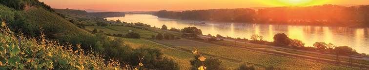 Q. 9,99 weiß lieblich VDP.ORTSWEIN Der Gault Millau Weinguide 2015 schreibt: Das ist fur uns in Rheinhessen die größte Steigerung eines Betriebes im nicht einfach zu meisternden Jahrgang 2013.
