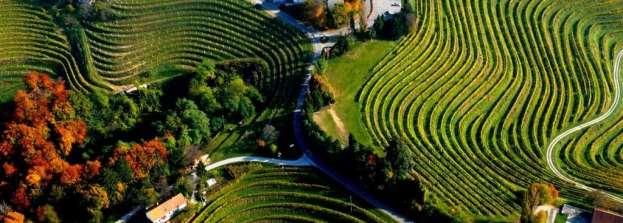 2015 Puklavec Family Wines Sauvignon Blanc 6,49 Seven Numbers 2 Single Vineyard ITALIENISCHE WEINE Südtirol Alto Adige Elena Walch Tramin www.elenawalch.