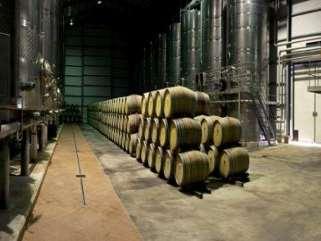 Höhepunkte in Deutschland waren bislang die Auszeichnungen Bester trockener Rotwein Übersee und Erzeuger des Jahres Übersee bei Mundus Vini.