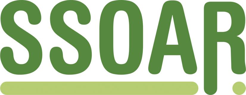 www.ssoar.info Starting by Starting!