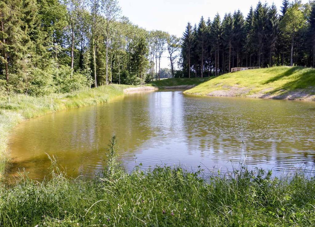 Die Gemeinde Etagnières VD legte 2014 den Weiher im «Bois Neuf» an und schaffte damit ein naturnahes Gebiet für Erholungssuchende wie Fischer.