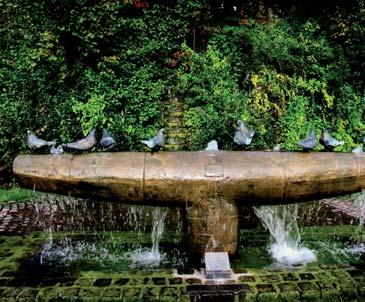 Auf dem Friedhof erinnert die Trauernde Mutter an die schlimme Zeit der beiden Weltkriege. Der Große Taubenbrunnen kann als Symbol des Friedens gedeutet werden.