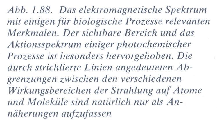 Czihak, G., Langer, H., Ziegler, H. (1976) Biologie.
