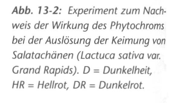 , Spektrum Akad. Verl., Heidelberg/ Berlin, pp. 1124 Kutschera, U.
