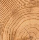 Naturbelassen geölte Oberflächenbearbeitung des Massivholzes. Formstabilität durch meisterhaft traditionelle Stabverleimung.