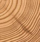 Standard Bitte wenden Sie sich an Ihren Verkaufsberater FRONT Massivholz, stabverleimte Leimholzplatten mit durchgehenden Lamellen KORPUS Massivholz, stabverleimte