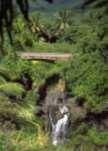 Pure Hawaii Insider Rundreise Maui Wasserfälle Hana Route Hana Route Eine von über 80 Maui Strände Erleben Sie die magische Insel, Maui Umschlossen vom türkisfarbenen Pazifik liegt die magische Insel