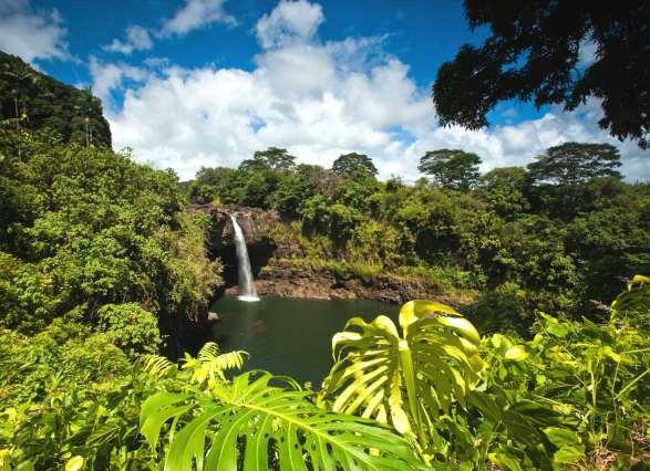 INSEL MAUI Einfach einmalig ist die üppige Natur dieser tropischen Vulkan Insel. Herrliche Wasserfälle, traumhafte Buchten und pittoreske hawaiianisch Orte werden Sie verzaubern.