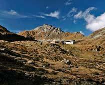 Wanderung zur Hippoldspitze und Vallruckalm Hermann Muigg Traumhafte Ausblicke vom nördlichsten Gipfel der Tuxer Alpen Wollten Sie nicht schon immer einmal mehr über die Welt des Almlebens, der
