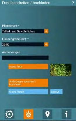 Fundmeldung per KORINA App Öffentlichkeitsarbeit und Umweltbildung zum Management invasiver Neophyten, 21.11.