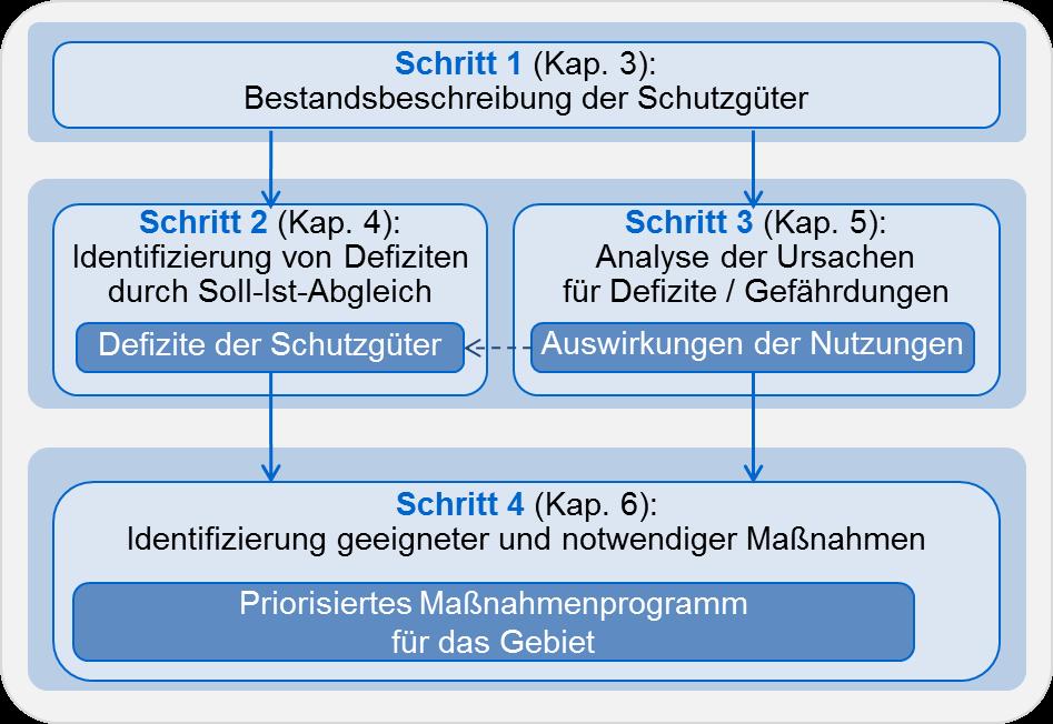 2 Methodische Schritte der Managementplanung Die Methodik der Managementplanung für die Meeresschutzgebiete in der deutschen AWZ setzt sich aus vier Schritten zusammen (siehe Abb.