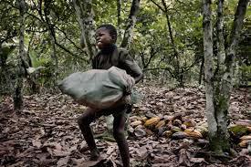 000.000 Kinder arbeiten auf den Kakaoplantagen, weil sie billige Arbeitskräfte sind.