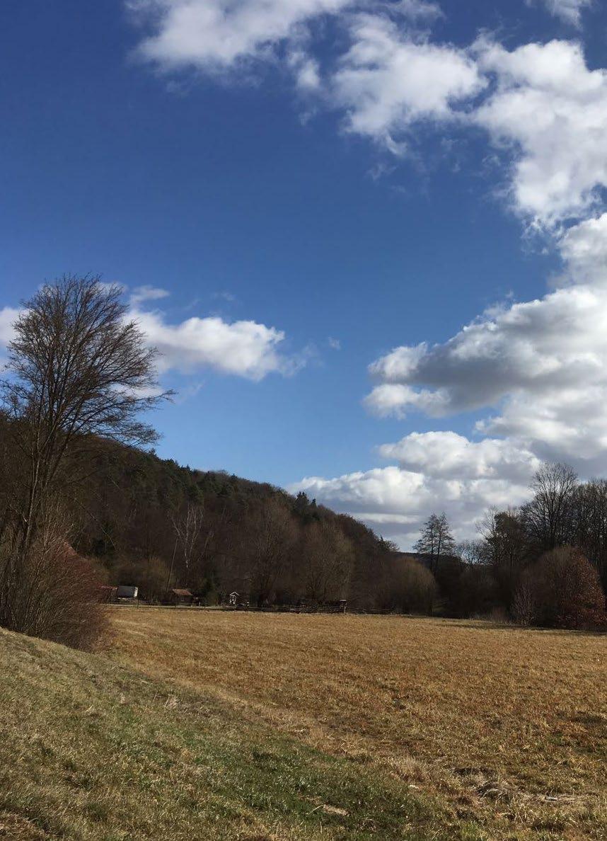 umliegende Wälder und Wiesen.