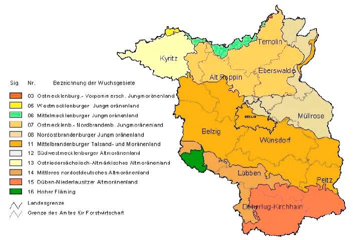 WALDZUSTANDSBERICHT 24 DER LÄNDER BRANDENBURG UND BERLIN 3.4 Auswertung nach Wuchsgebieten, territoriale Schwerpunkte der Schäden Forstliche Wuchsgebiete (Abb.