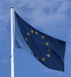 Europäische Normenlandschaft CEN Comité Européen de Normalisation Vollmitglieder im CEN sind alle 28 EU Staaten, EFTA Staaten (CH,N,IS,FL) Jedes Land hat eine Mitgliedsinstitution im CEN Österreich: