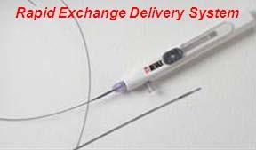 The Axxess TM Stent Dedicated bifurcation drug-eluting stent (DES)