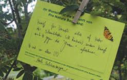 schwierigen Gegnern Mehr Naturwaldreservate und Altholzinseln; regierungsrätliche Kommission für Wildenstein Mehr so schöne Feste Initiative für Palmölverbot in BL/CH, Slogan «Geh auf Stimmenfang für