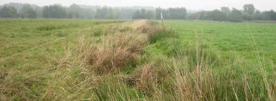 Anlass und Hintergrund Im Jahr 2000 wurde das Ökologische Grabenräumprogramm für den Schutz und die Erhaltung der Grünlandgräben im Niedervieland installiert.