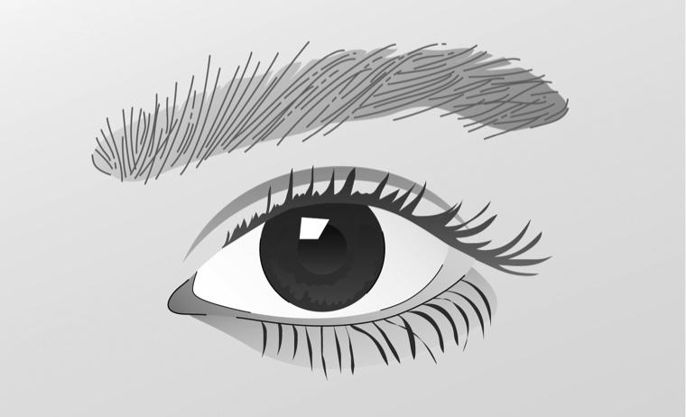 Unser Sehorgan - Das Auge Seite 5 Das Auge ist ein empfindliches Gebilde. Es wird von außen durch das Augenlid, die Augenbrauen und die Wimpern geschützt.