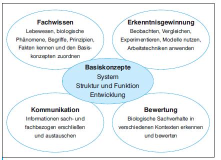 KOMPETENZBEREICHE DER BILDUNGSSTANDARDS FÜR DIE NATURWISSENSCHAFTLICHEN