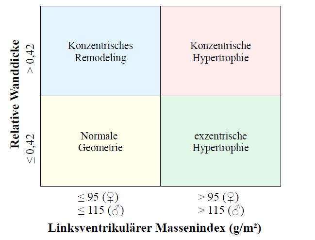Abbildung 1: Einteilung der linksventrikulären Geometrie basierend auf der relativen Wanddicke und dem linksventrikulären Massenindex.