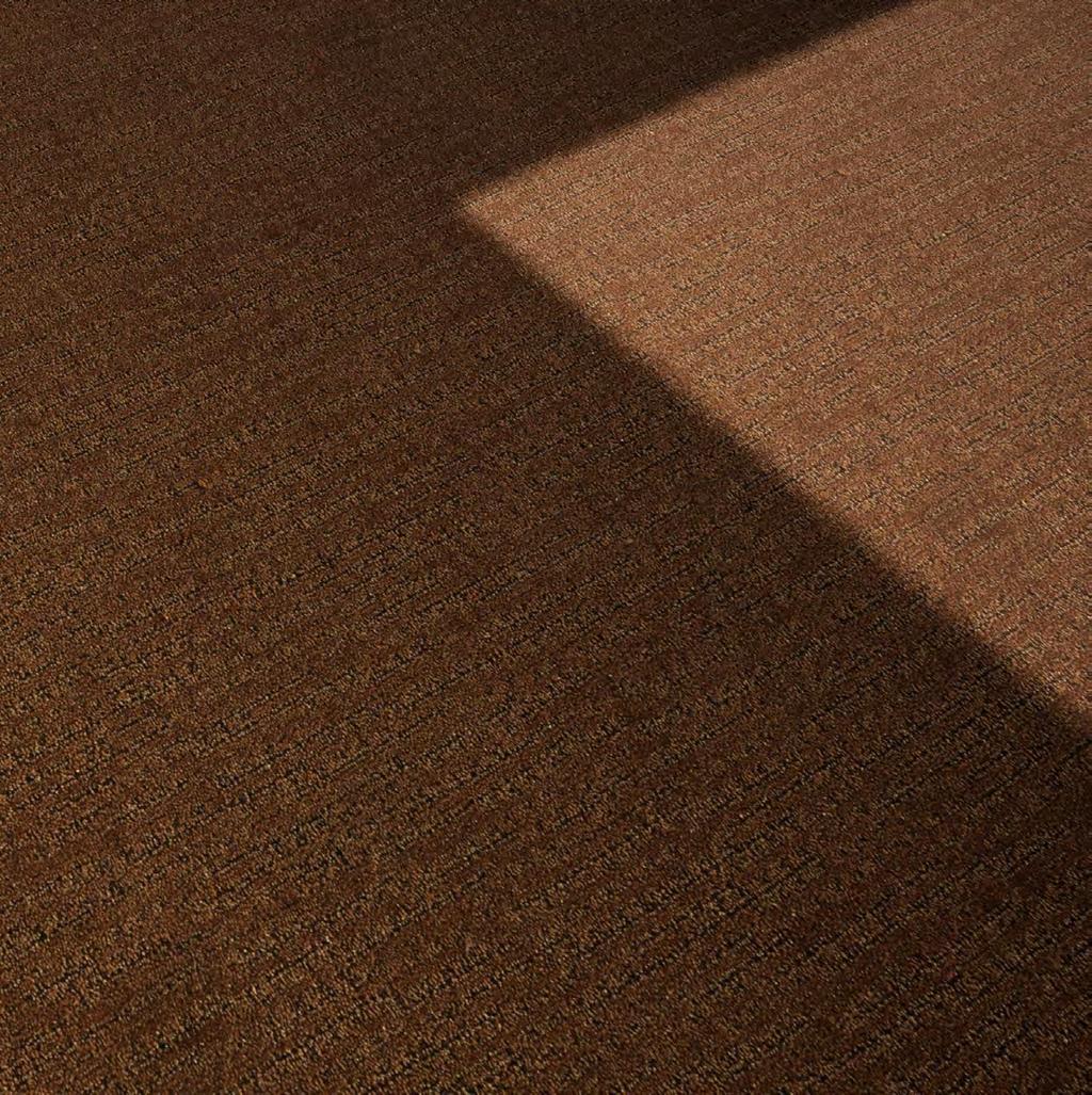 Ein Teppichboden zum Wohlfühlen Rollenware mit Breiten von 400 oder 500 cm Seine federnden Eigenschaften