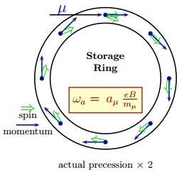 .3 Experimentelle Bestimmung des anomalen magnetischen Moments Abb..3: Spin-Präzession im Speicher-Ring [8, ] Abb..4: Schema des Brookhaven Muon g- Experiments [8, ].