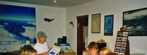 Delfin-Camp auf den Azoren 2003 Ich