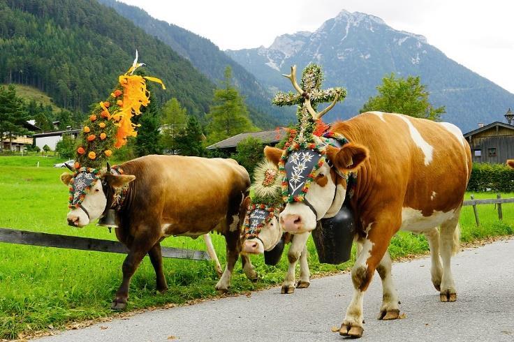 Der Tiroler Sommer ist relativ feucht, der Herbst hingegen trocken. Im Winter zählt Tirol zu den relativ schneesicheren Regionen. Tagesaktuelle Wetterinformationen finden Sie im Internet. tern.