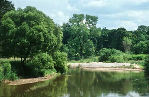 Abb. 17: Die Neiße bei Rothenburg: Die Aussagen des Landschaftsplans sind darauf gerichtet, die natürliche Dynamik des Flusses zu erhalten und zu verbessern. 4.1.3 Klima/Luft und Lärmschutz Der Schutz des Klimas/der Luft und der Lärmschutz sind im Naturschutzrecht verankert.