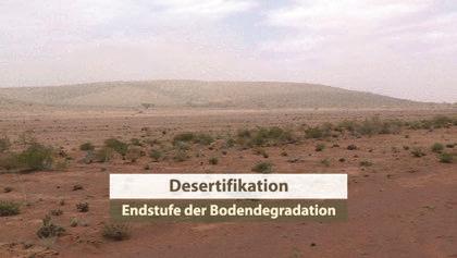 Zunächst wird erklärt, dass Desertifikation Wüstenbildung (meist anthropogen) bedeutet und die Endstufe der Bodendegradation darstellt.