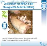 Expositionsquellen: MRSA in Schweinebeständen Ökologisch wirtschaftende Betriebe (n: 42): Niedrigere Nachweisrate gleiche spa-typen wie konventionell Meemken et al.