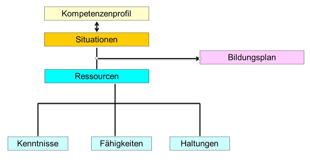 Schwerpunkte der Ausbildung III 3. Lehrjahr (Praxis: 4 Tage/Woche) erlerntes Wissen auf andere Pat.