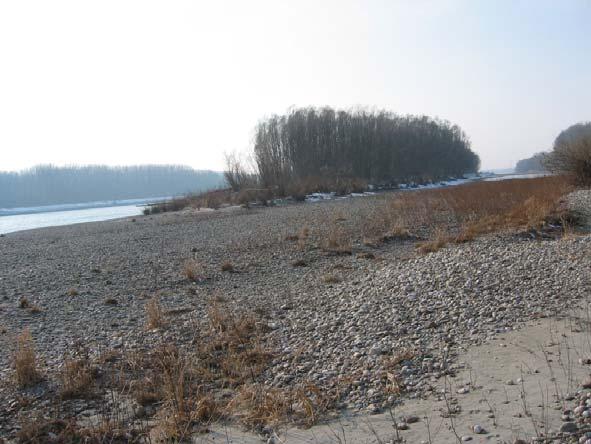 62: Linkes Donauufer bei Stromkm 1903,8; Blick bergwärts (gegen Westen); Aufnahme ca. Jänner 2005; Bildnachweis: DonauConsult Beleg: Tab. 37; Abb. 56, Abb.