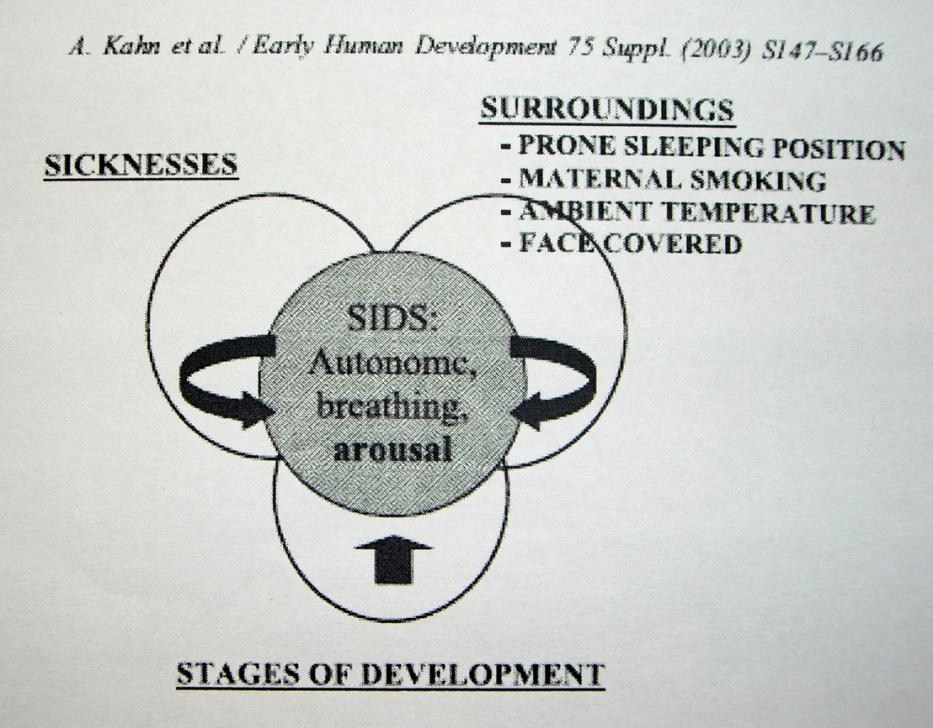 Diskussion Abbildung 12: SIDS-Modell [adaptiert von KAHN, 2002] [124] Diese 3-S-Modell für SIDS beinhaltet sickness, stages of development und surroundings.
