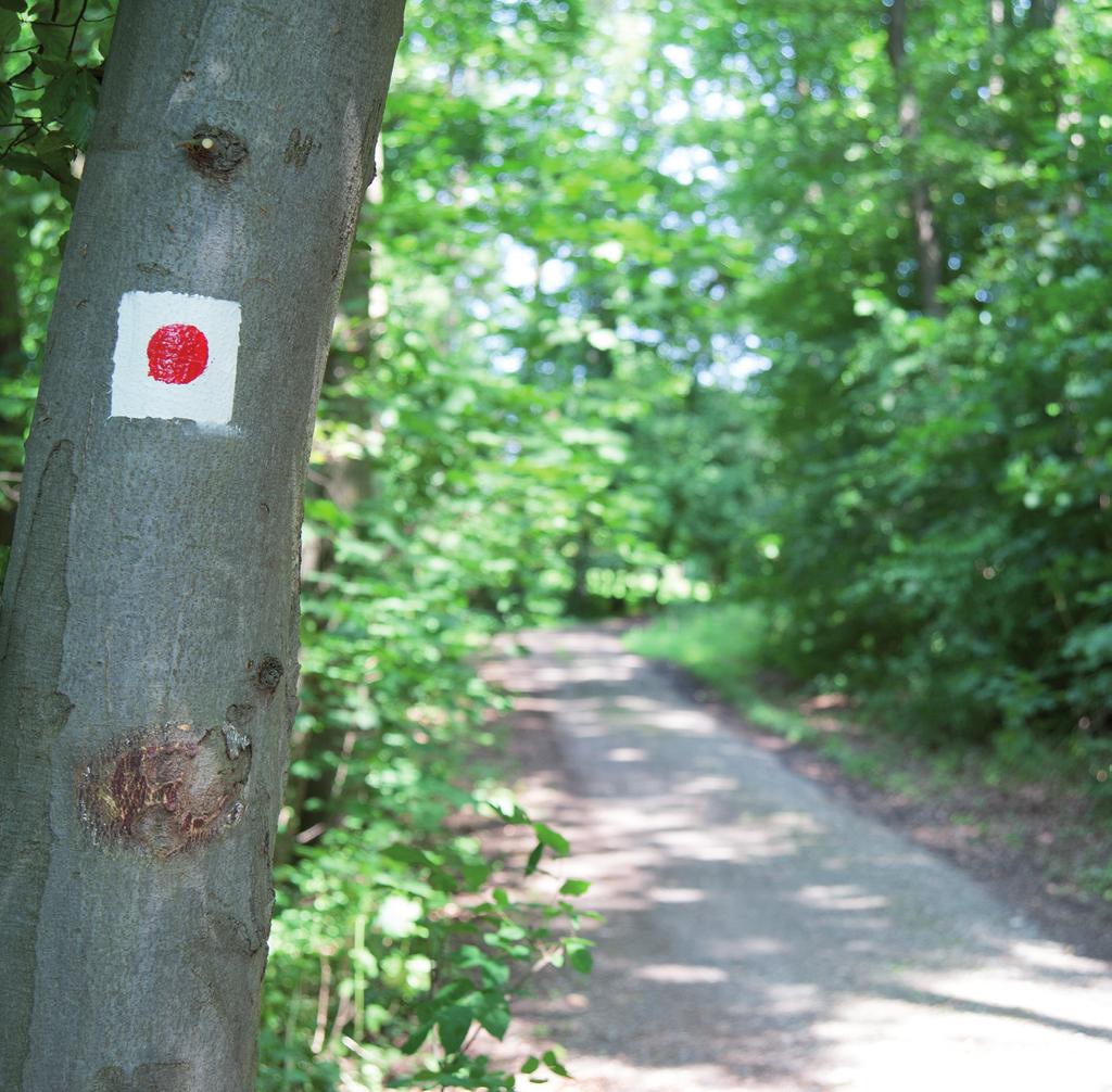 Wollen Sie die Wegearbeit kennen lernen?