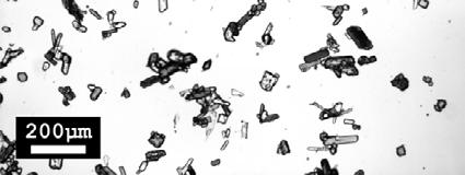 9: Lichtmikroskopische Aufnahmen von Ammoniumsulfatkristallen bei der Verwendung von Hohlkegeldüsen mit