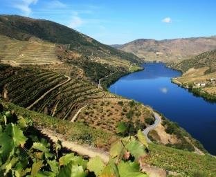 Das leckere Brot stärkt uns für die bevorstehende Wanderung mit Panoramablick über den Pinhão und den Douro-Fluss.