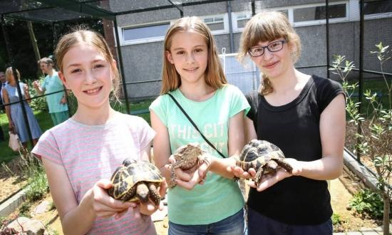 23. Juni 2017 MARIE-CURIE-GYMNASIUM & AQUAZOO Schildkröten ziehen in Schule ein Von Julia Nimführ Schüler des Marie-Curie-Gymnasiums pflegen Tiere, jetzt auch mit