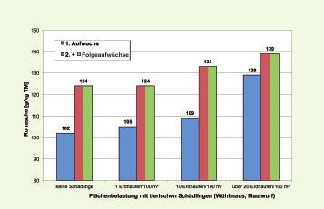 Abb. 1: Einfluss des Schädlingsbefalls auf den Rohaschegehalt in Grassilage (LK-Silageprojekt 2009) Abschleppen 2 32 % aus. Nach dem Abschleppen betrug die Lückigkeit 16 95 %.