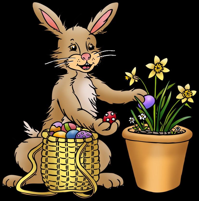 12 Osterhase Zu Ostern gehören Eier und Hasen. Aber warum kommt an Ostern eigentlich ausgerechnet ein Hase? Könnte doch auch ein anderes Tier sein. War es sogar einmal!