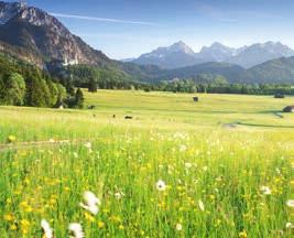 Eingebettet in die spektakulären Naturschönheiten der Allgäuer Voralpenlandschaft, ist die Stadt das ideale Basislager