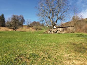 Heimkommen Streß und Lärm im Tal lassen! So könnte es sich anfühlen, wenn Sie künftig nach Hause kommen.