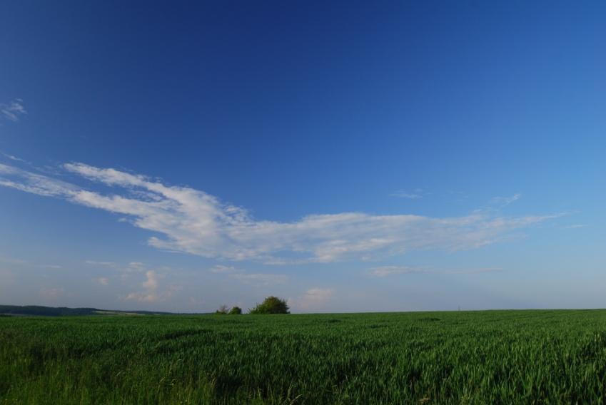 Da blaues Licht 16x stärker gestreut wird, als die andern Farben des Spektrums, empfangen wir das am stärksten gestreute Licht, das aus allen möglichen Richtungen kommt.