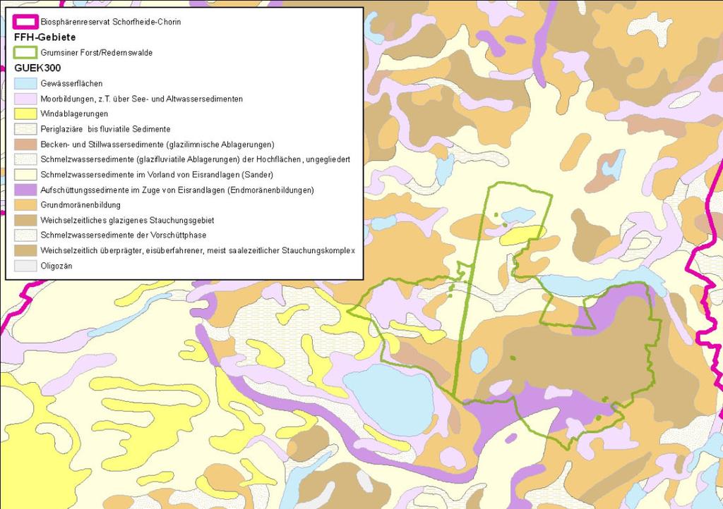 Abiotik Naturraum: Uckermärkisches Hügelland (Rückland der Mecklenburgischen Seenplatte) Klima: Übergang zum kontinental geprägten Klima Geomorphologie: Pommersche Endmoräne mit