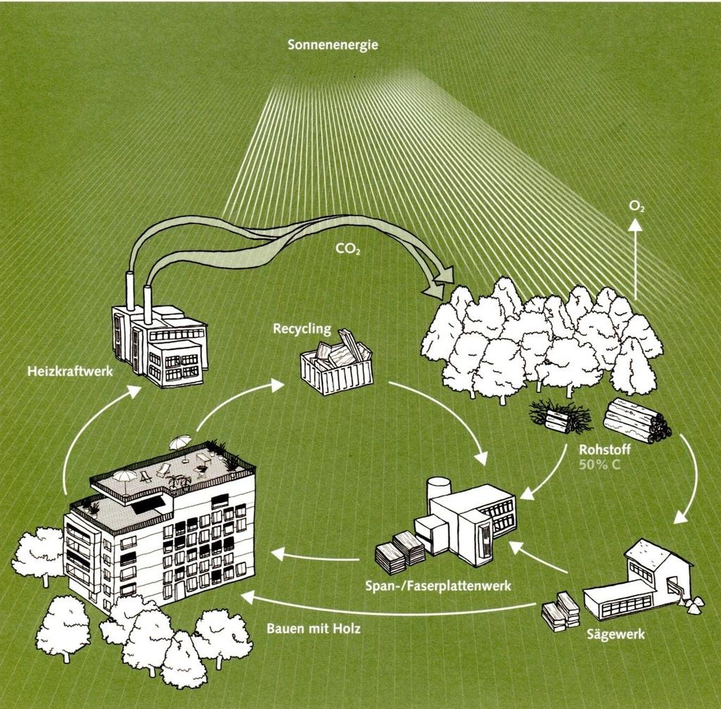 Kreislaufwirtschaft Holz Beispiel zukunftsorientierten Wirtschaftens Biobasierter