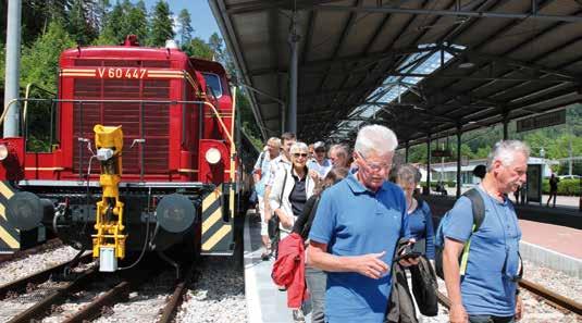 6 DiakonieInfo 48 Kurz berichtet Ehrenamtliche auf gemeinsamer Fahrt Mit dem historischen Zug der Ulmer Eisenbahnfreunde zur Gartenschau nach Bad Herrenalb Am 30.